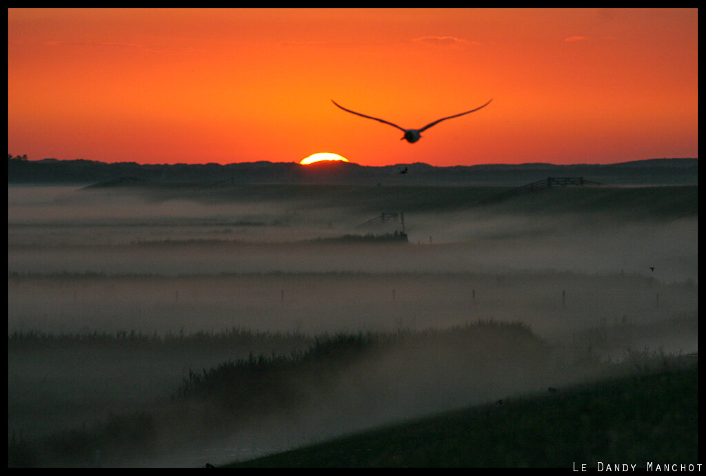 Terschelling_Envol du soleil