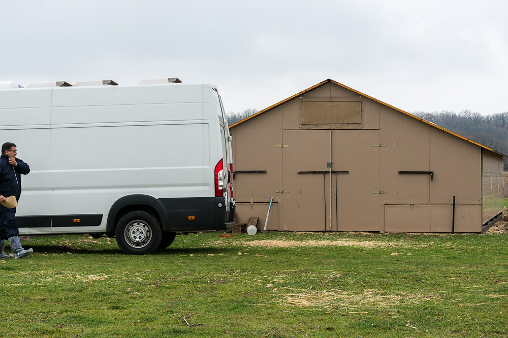 7000 poussins à roullettes