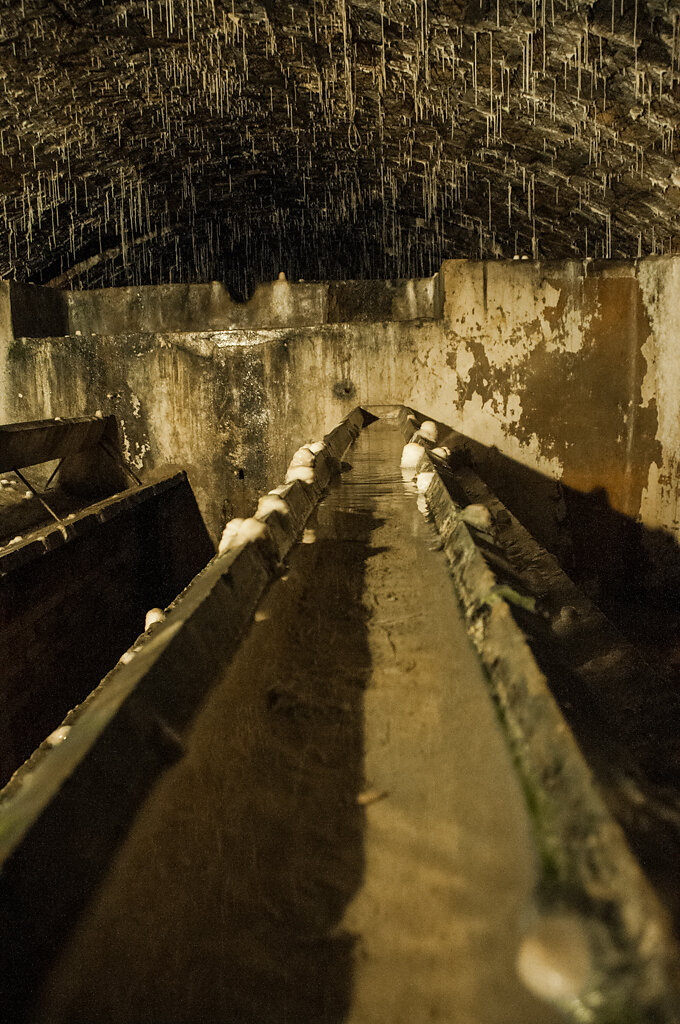 Fort Douaumont