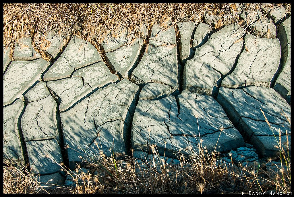 Marais Salants du Mes