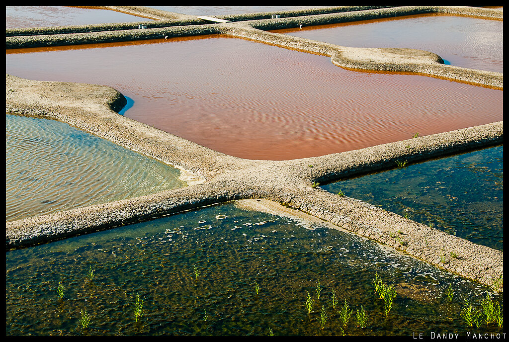 Marais Salants du Mes