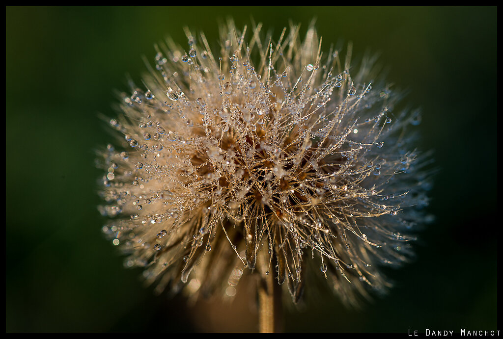 Familière Nature