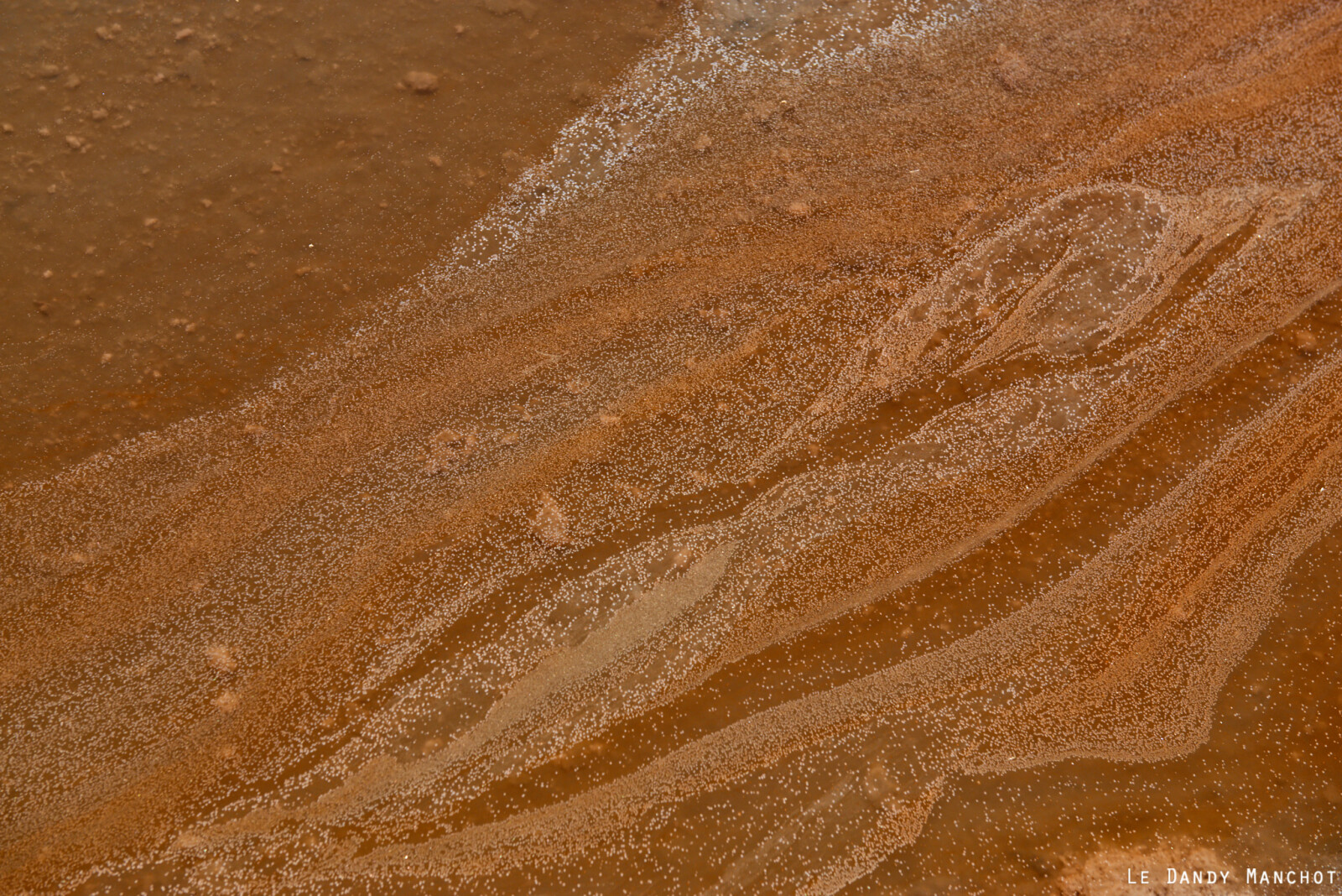 MaraisSalants