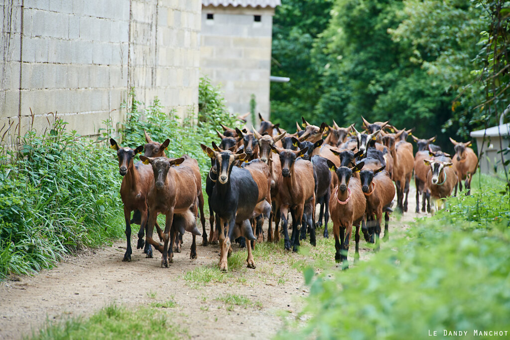 Pré-FermeValeyres_Sorin