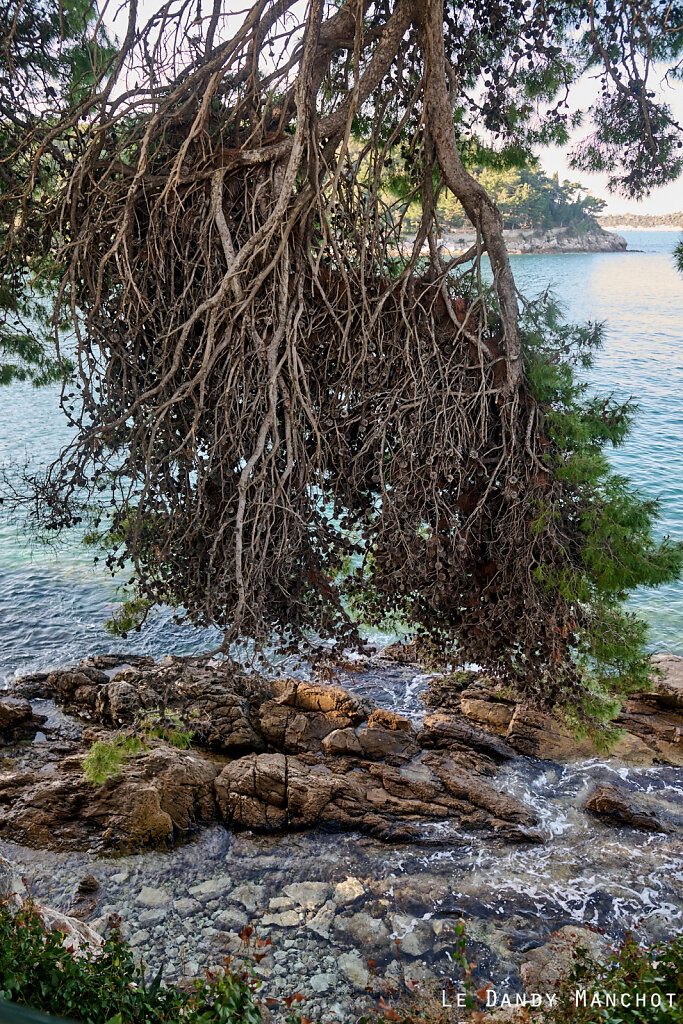 Croisière-Dubrovnik