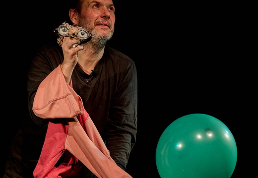 Spectacles et concerts