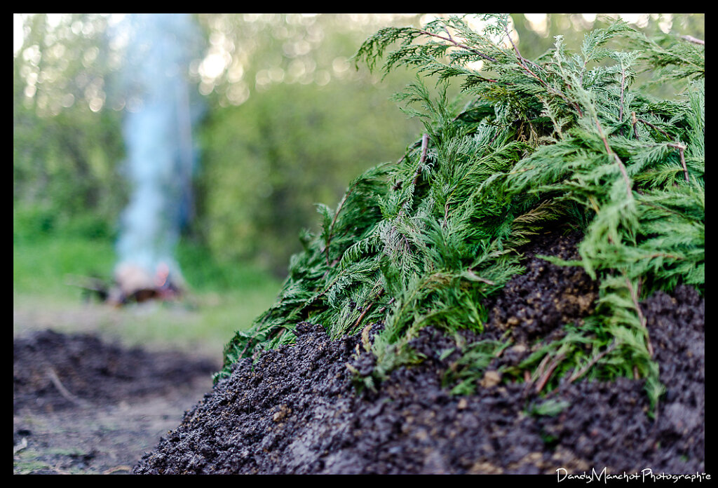 Buche, buissage, terre