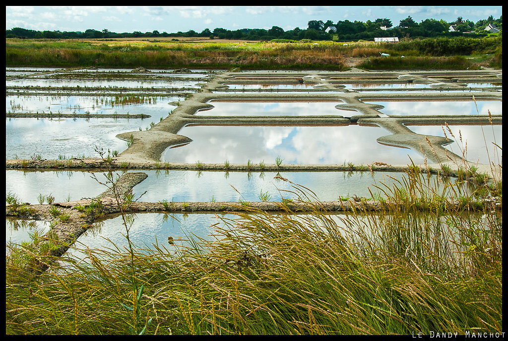 Marais Salants du Mes