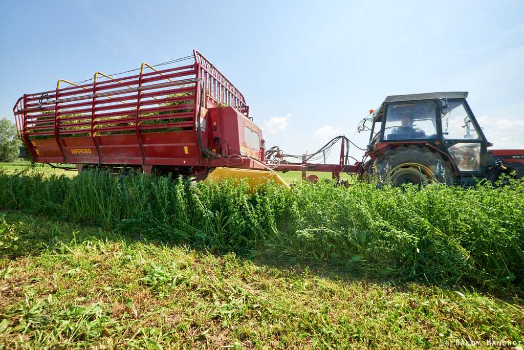 Coupe_Herbe-Chevres_Lavaurette