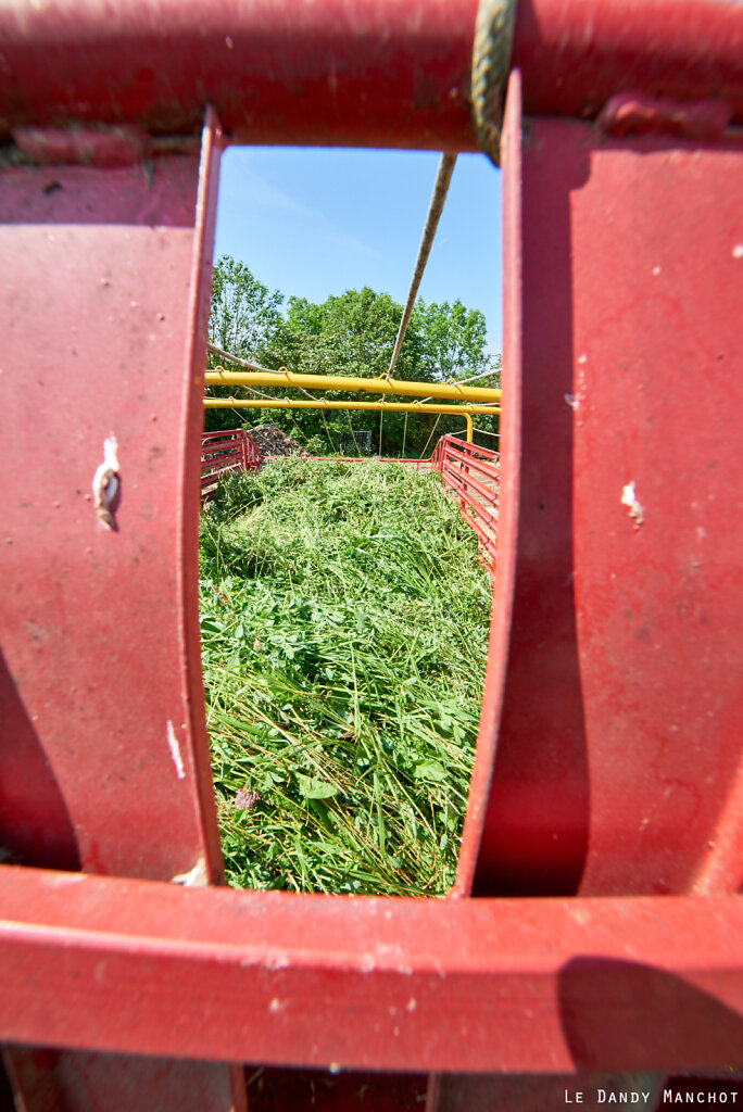 Coupe_Herbe-Chevres_Lavaurette