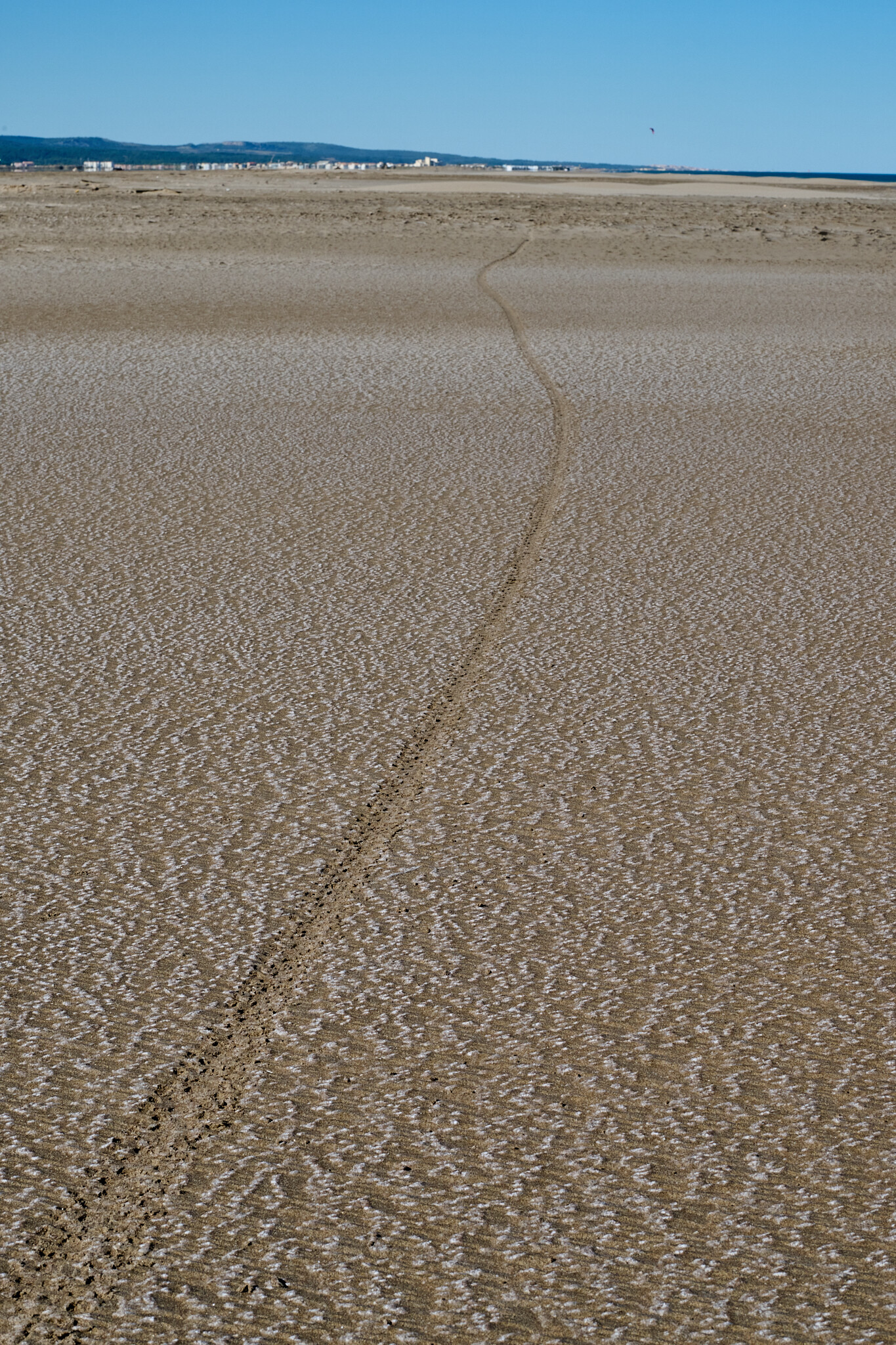 Plage_Salins