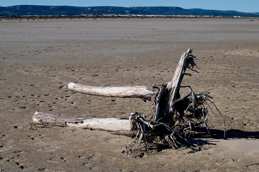 Plage_Salins