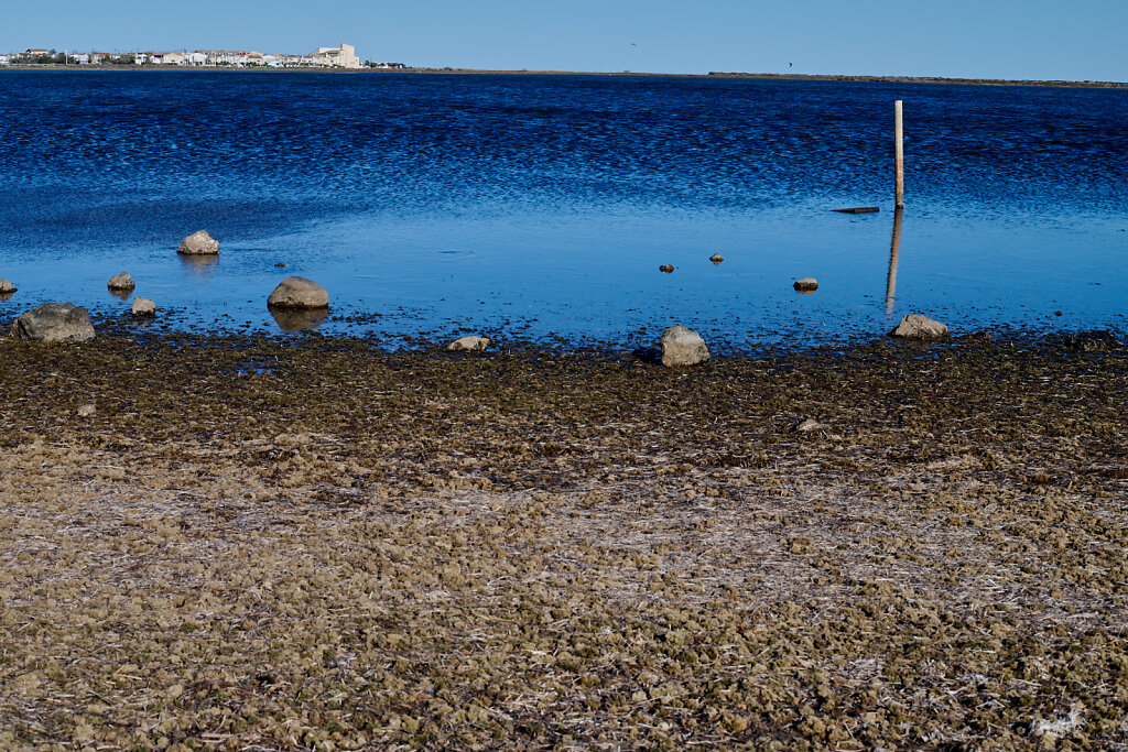 Plage_Salins