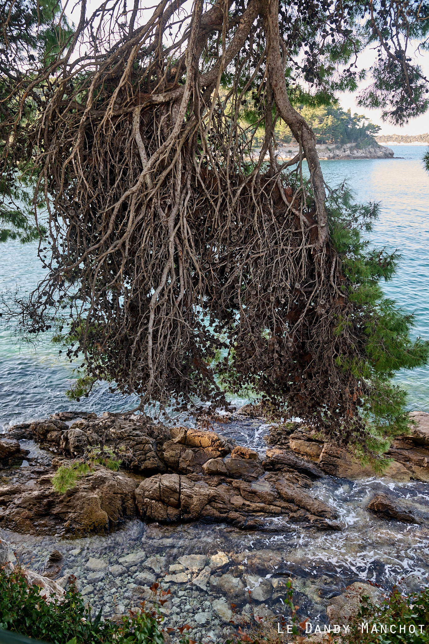 Croisière-Dubrovnik